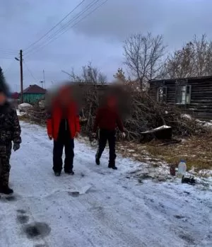 Зимние активности