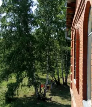 Реабилитационный центр Импульс