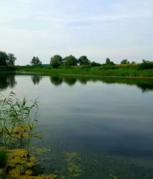 Природа реабилитационного центра