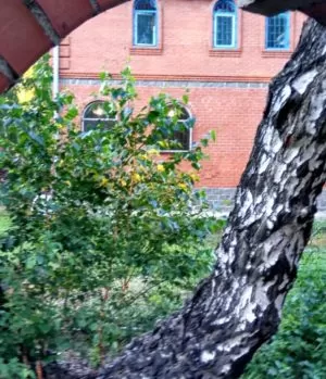 Реабилитационный центр Импульс