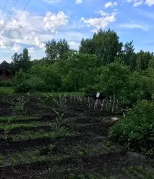 Огород в реабилитационном центре