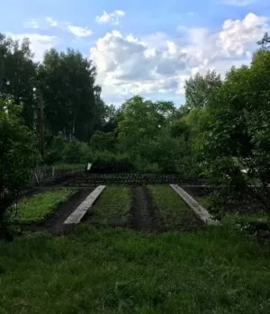 Природа центра реабилитации