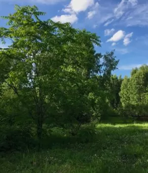 Природа центра реабилитации