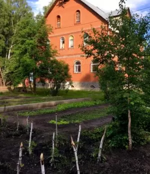 Реабилитационный центр Импульс