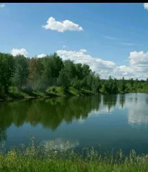 Природа реабилитационного центра