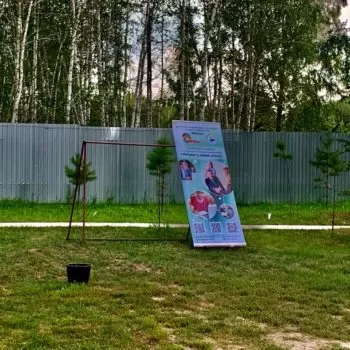 Спортивная площадка