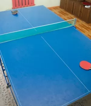 Настольный теннис