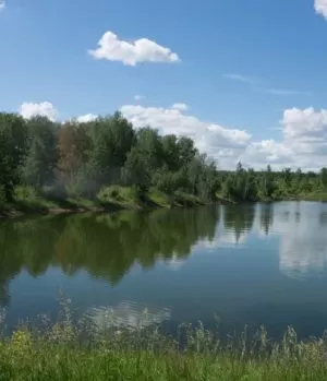 Природа реабилитационного центра