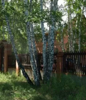 Реабилитационный центр Импульс