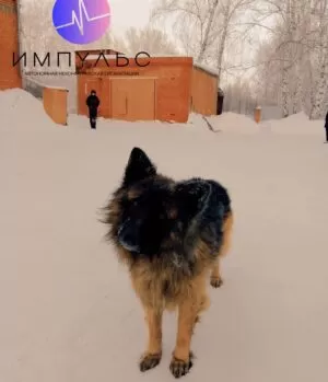 Реабилитационный центр Импульс