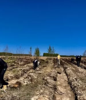 Огород