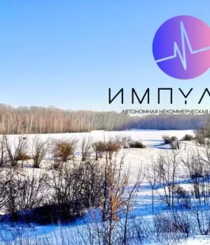 Реабилитационный центр Импульс