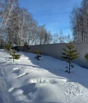 Реабилитационный центр зимой
