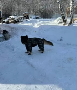 Реабилитационный центр Импульс