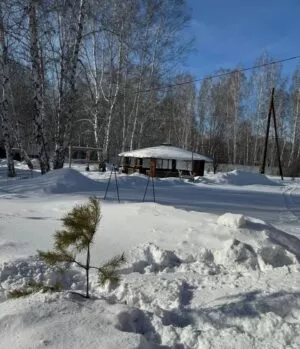 Реабилитационный центр Импульс