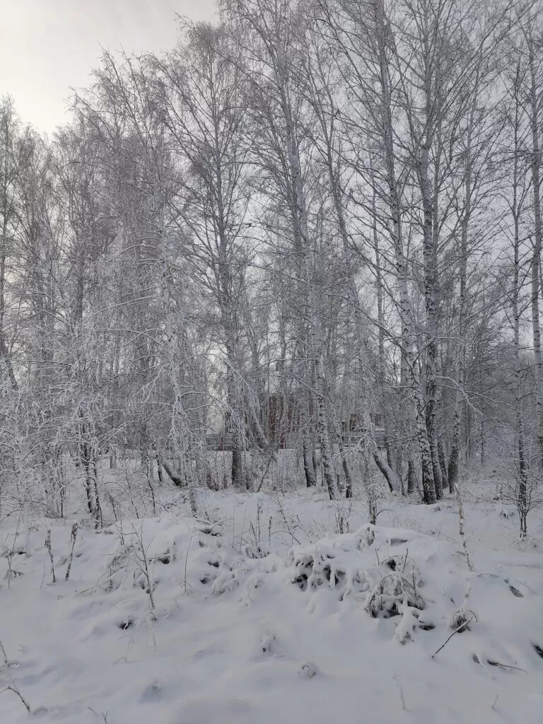 Зимний пейзаж