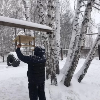 Установка скворечника