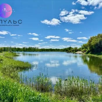 Природа реабилитационного центра