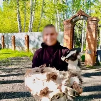 Реабилитационный центр Импульс