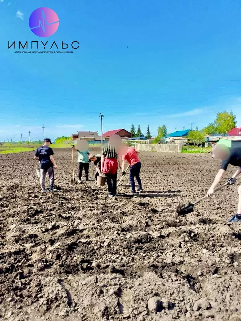 Обустройство огорода