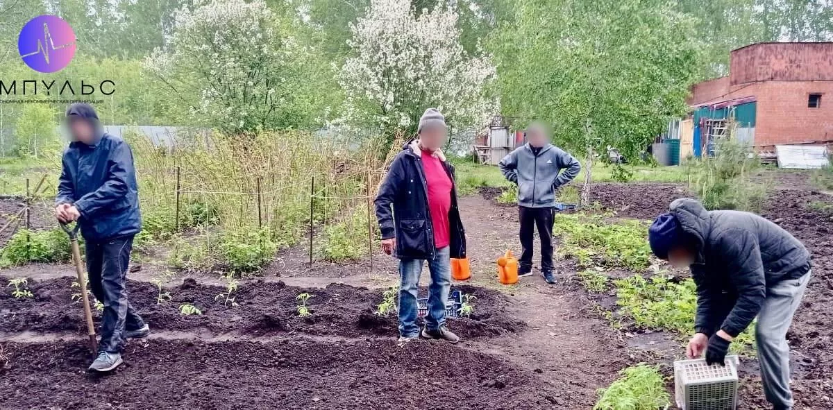 Обустройство огорода