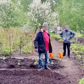 Обустройство огорода