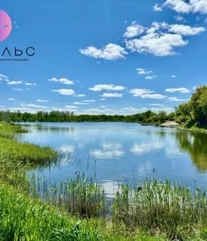 Природа реабилитационного центра