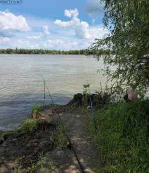Рыбалка
