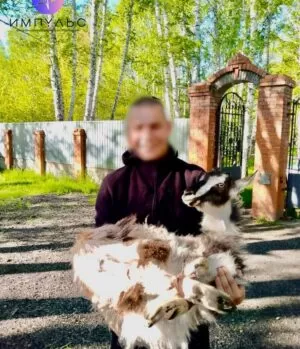 Реабилитационный центр Импульс