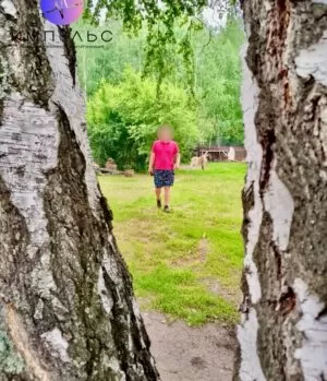 Природа в реабилитационном центре