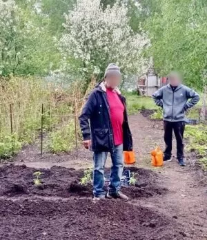 Облагораживание огорода